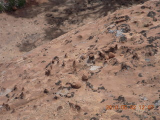 120 772. Dead Horse Point hike - rock nodules
