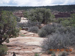 122 772. Dead Horse Point hike