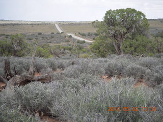 161 772. Dead Horse Point hike