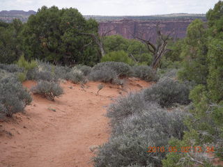 162 772. Dead Horse Point hike