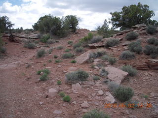 168 772. Dead Horse Point hike