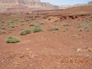 156 773. Hidden Splendor run