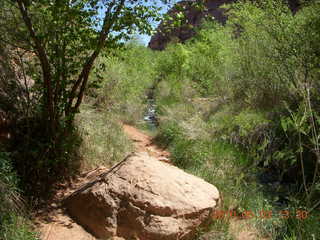 244 773. Negro Bill hike