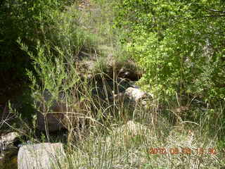 245 773. Negro Bill hike