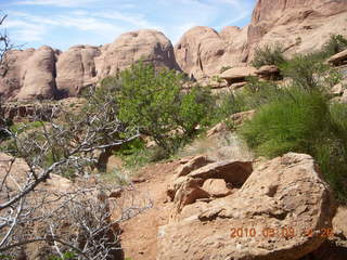 253 773. Negro Bill hike