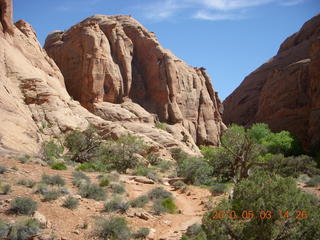 254 773. Negro Bill hike