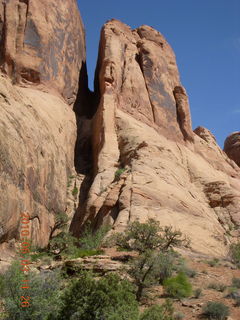 255 773. Negro Bill hike