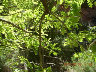 256 773. Negro Bill hike