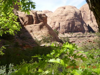 258 773. Negro Bill hike