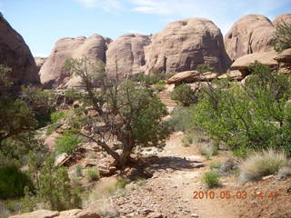 266 773. Negro Bill hike