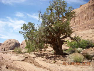 269 773. Negro Bill hike