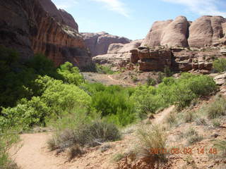 271 773. Negro Bill hike