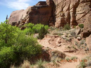 272 773. Negro Bill hike