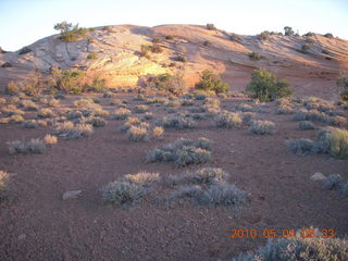 13 774. Canyonlands Lathrop Trail hike