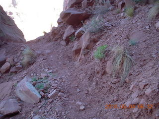 32 774. Canyonlands Lathrop Trail hike