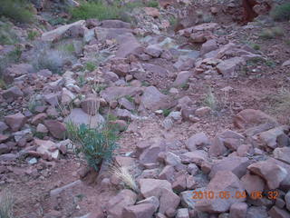 33 774. Canyonlands Lathrop Trail hike