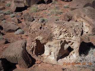 35 774. Canyonlands Lathrop Trail hike