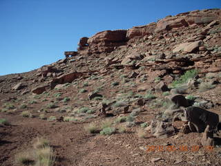 37 774. Canyonlands Lathrop Trail hike
