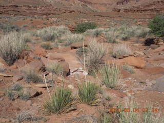 44 774. Canyonlands Lathrop Trail hike