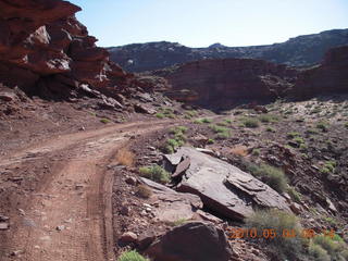 56 774. Canyonlands Lathrop Trail hike