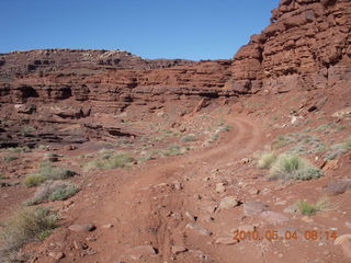 57 774. Canyonlands Lathrop Trail hike