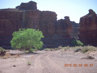 60 774. Canyonlands Lathrop Trail hike