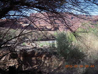 62 774. Canyonlands Lathrop Trail hike - Colorado River