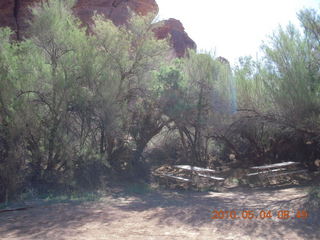 64 774. Canyonlands Lathrop Trail hike - picnic tables