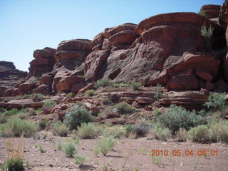 74 774. Canyonlands Lathrop Trail hike