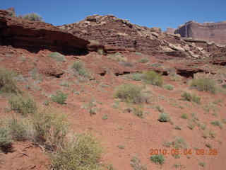 79 774. Canyonlands Lathrop Trail hike