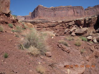 84 774. Canyonlands Lathrop Trail hike