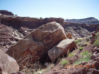 86 774. Canyonlands Lathrop Trail hike