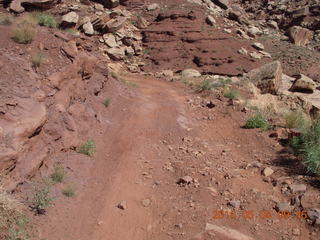 89 774. Canyonlands Lathrop Trail hike