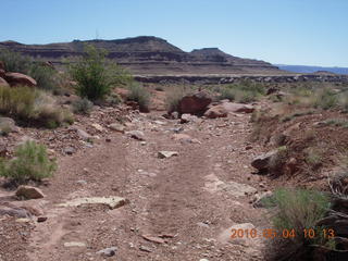 105 774. Canyonlands Lathrop Trail hike
