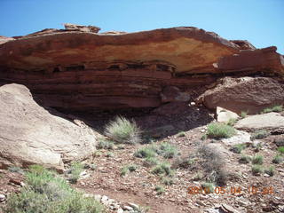 113 774. Canyonlands Lathrop Trail hike