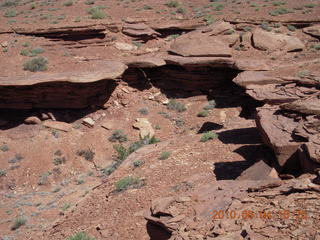 115 774. Canyonlands Lathrop Trail hike