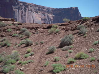 117 774. Canyonlands Lathrop Trail hike