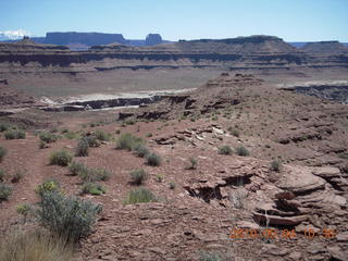 121 774. Canyonlands Lathrop Trail hike