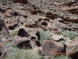 123 774. Canyonlands Lathrop Trail hike