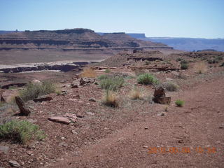 125 774. Canyonlands Lathrop Trail hike