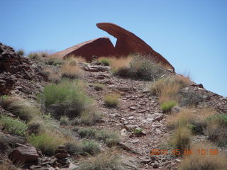 132 774. Canyonlands Lathrop Trail hike