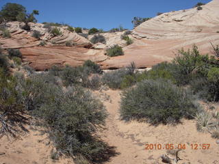 161 774. Canyonlands Lathrop Trail hike