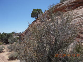 163 774. Canyonlands Lathrop Trail hike