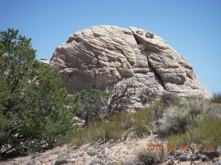 167 774. Canyonlands Lathrop Trail hike