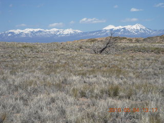 170 774. Canyonlands Lathrop Trail hike