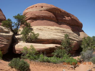 160 775. Canyonlands National Park Needles - Chesler Park hike
