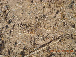 aerial - flying to Bullhead (IFP) - Alamo Lake