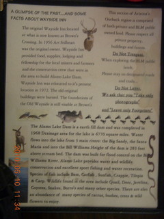 Alamo Lake airstrip - landing airplane