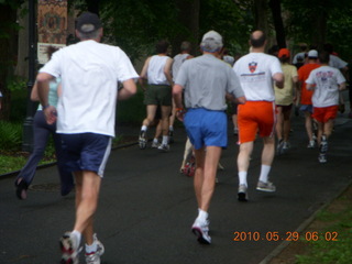 Princeton reunions - Tiger