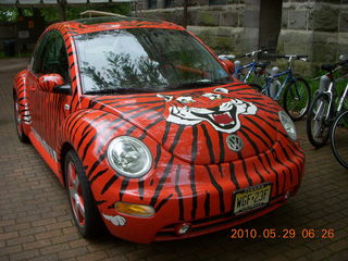 Princeton reunions - 5 Km runner
